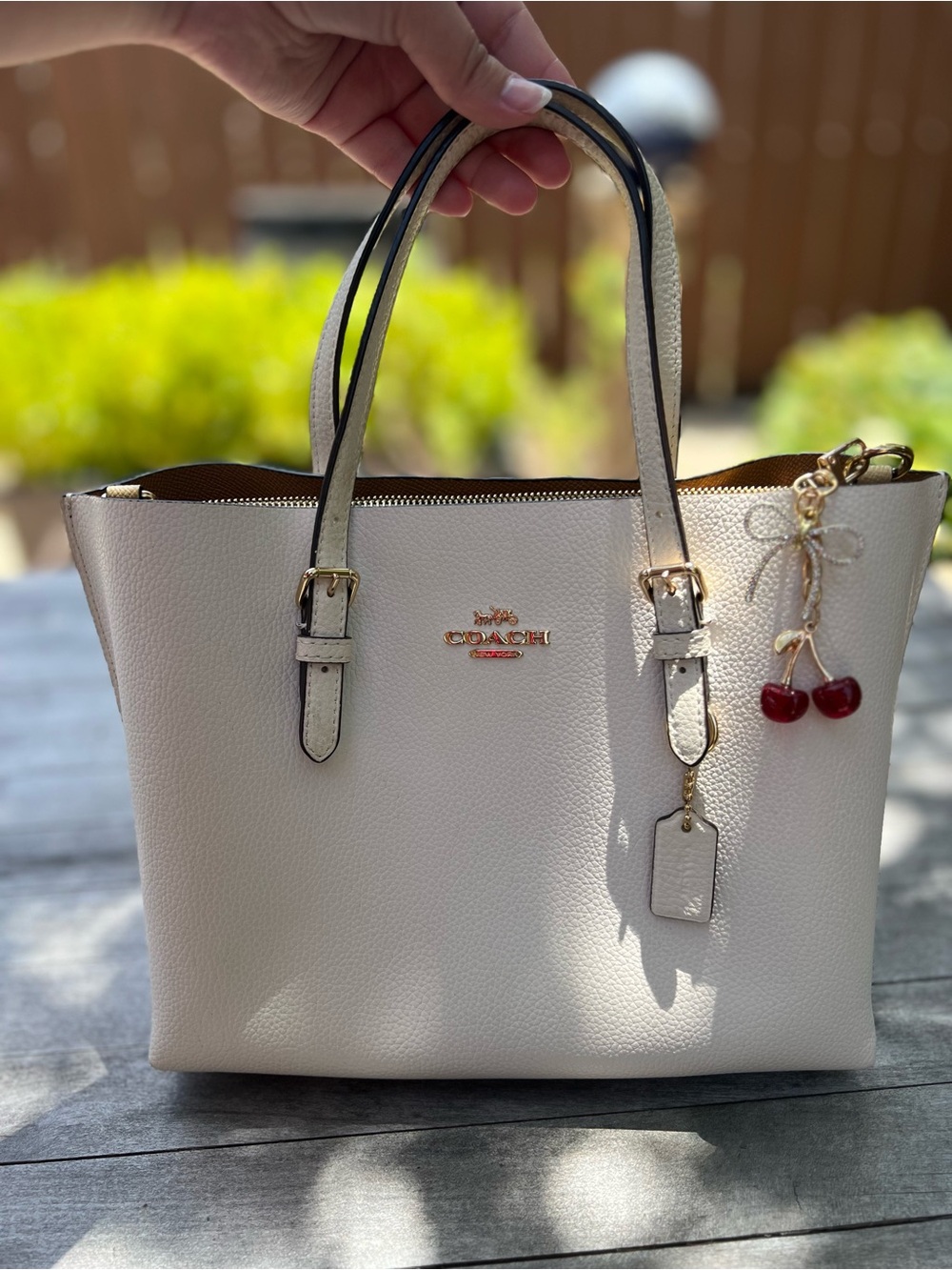 Coach Mollie Tote Bag 25
